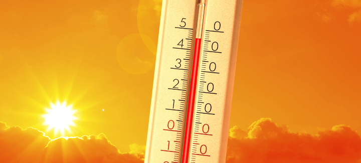 Summer Heatwave